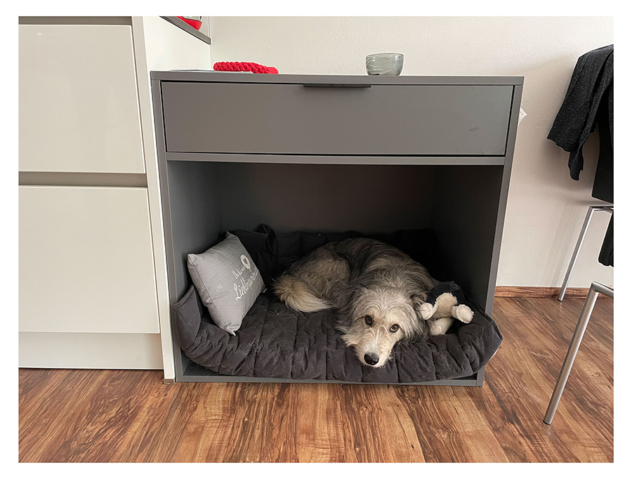 Hondenhok voor Pawlow
